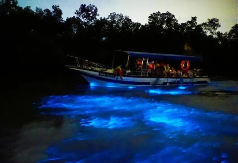 Private Kuala Selangor Fireflies & Blue Tears Tour (with Silver Leaf Monkeys & Seafood Dinner | Hotel Pick-Up & Drop-Off Included)
