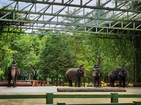 Elephant Sanctuary Tour, Deer Land & Aborigines Village (Private 7-Hour Tour | Hotel Pick-Up & Drop-Off Included | Not Available on Fridays)