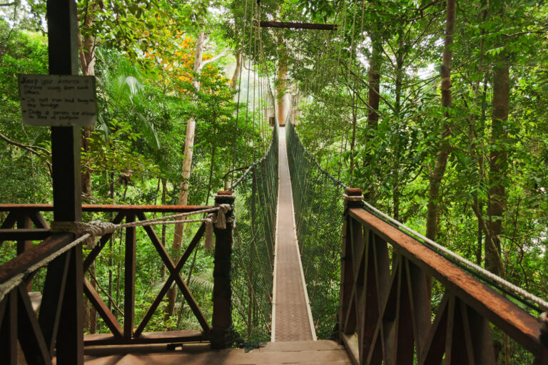 Taman Negara Day Tour from Kuala Lumpur + Lata Berkoh Waterfall 						 (14 Hours | Private Transfer + Join-In Activities | Hotel Pick-Up & Drop-Off Included)